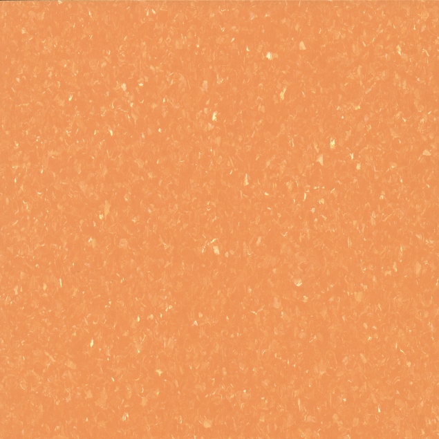 MT002A-307 豆橘