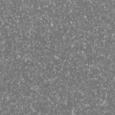 K821-004 星尘